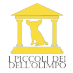 Progetto senza titolo